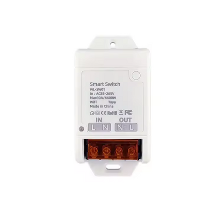 Smart Wi-fi 30A Switch Module (WIFI + RF433)